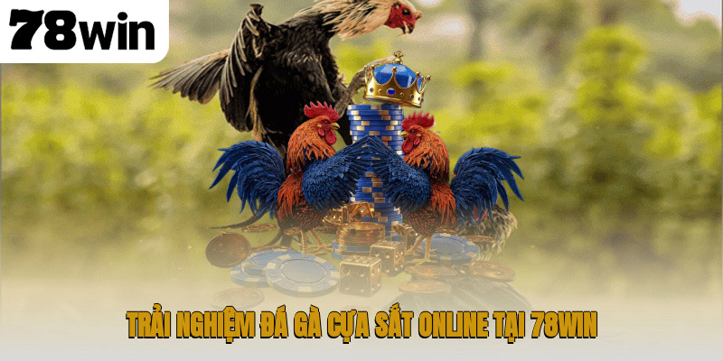 Đá Gà Cựa Sắt – Trò Chơi Truyền Thống Hấp Dẫn và Đỉnh Cao 4 Trải nghiệm đá gà cựa sắt online tại 78WIN
